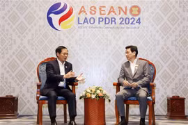 Vietnam fomenta nexos diplomáticos con Tailandia y Malasia