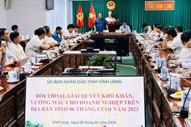 Buscan medidas destinadas a eliminar las dificultades de empresas de Vinh Long