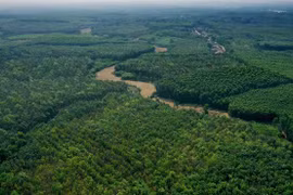 Día Mundial de la Vida Silvestre: Por la “salud” del planeta