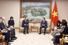 Promueven Vietnam y Dinamarca cooperación en proyectos de puertos marítimos verdes
