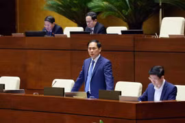 Canciller destaca logros de Vietnam en diplomacia cultural