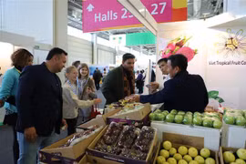Promueven consumo de frutas vietnamitas en Alemania y otros países europeo