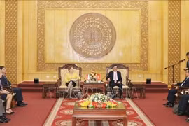 Promueven cooperación multifacética entre Ninh Binh y localidades húngaras