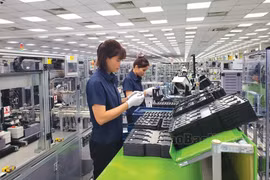 Provincia vietnamita avanza en atracción de IED