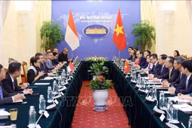 Comisión Conjunta de Cooperación Bilateral Vietnam-Indonesia celebra su quinta reunión