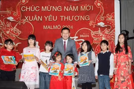 Vietnamitas en Suecia se reúnen con motivo del Año Nuevo Lunar