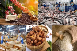 Exportaciones de productos agroforestales y acuáticos de Vietnam se disparan en enero