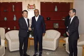 Destacan cooperación Vietnam-Singapur en seguridad y prevención de crimen transfronterizo