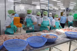 Superávit de productos agroforestales y pesqueros de Vietnam casi se duplica