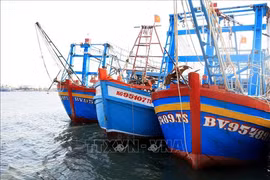 Vietnam dispuesto a impulsar más lucha contra pesca ilegal