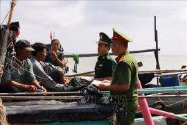 Provincia vietnamita de Tien Giang fomenta medidas contra pesca ilegal
