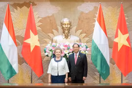 Mejoran implementación de acuerdos sellados entre Vietnam y Hungría