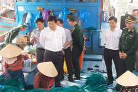 Quang Ngai toma medidas enérgicas contra la pesca ilegal