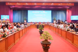 Provincia vietnamita de Binh Dinh promueve exportación al mercado norteamericano
