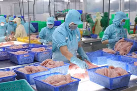 Señales positivas de exportaciones acuáticas en 2024
