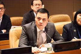 Vietnam enfatiza paz y estabilidad como prerrequisitos para solucionar desafíos globales