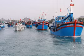 Quang Nam por desarrollar economía marítima moderna y sostenible 
