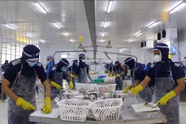 Número de nuevas empresas alcanza récord en el primer trimestre de 2024