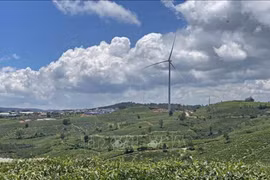 Vietnam fomenta economía circular en bienes de consumo de rápido movimiento
