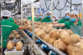 Efectuarán Foro de Exportaciones y Feria Comercial de Ciudad Ho Chi Minh en mayo próximo