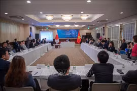 Impulsan establecimiento de red empresarial vietnamita de TI en Japón