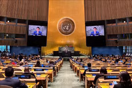 Asamblea General de ONU aprueba resolución propuesta por Vietnam sobre el Día Internacional del Juego