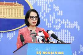 Vietnam condena enérgicamente el bombardeo en el sureste de Irán