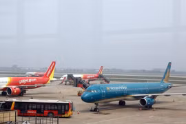 Piden a transportistas desarrollar plan de operación de flota para satisfacer la demanda de viajes del verano