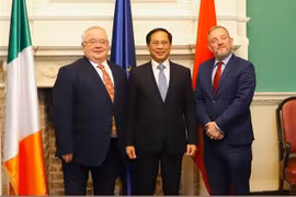 Vietnam atesora nexos de amistad con Irlanda