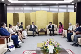 Ciudad vietnamita de Da Nang busca potenciar cooperación con socios franceses