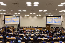 Vietnam intensifica lucha contra comercio ilegal de armas pequeñas y ligeras