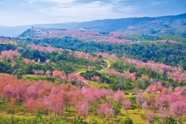 Provincia de Phitsanulok se convierte en nueva atracción turística de Tailandia