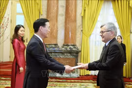 Presidente vietnamita recibe a embajadores de varios países