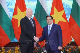 Vietnam valora cooperación multifacética con Bulgaria