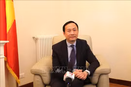 Buenas condiciones para promover cooperación entre Vietnam y Malta