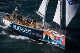 Bahía de Ha Long lista para albergar Regata de Vela Clipper Race