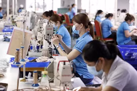 Economía de Vietnam está en camino correcto, según especialistas