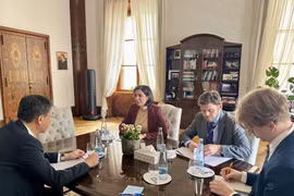 Promueven cooperación parlamentaria Vietnam-República Checa