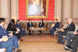 Bélgica lanzará proyectos para ayudar a Vietnam a limpiar Agente Naranja 