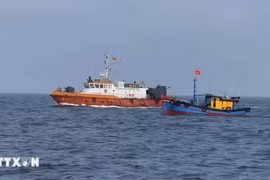 Mejoran conciencia sobre nuevas regulaciones en lucha contra IUU en Vietnam