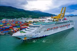 Turismo de ciudad vietnamita reporta señales positivas en comienzo de 2024