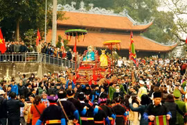 Celebran en provincia vietnamita festival de cultura tradicional