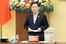 Promueven políticas específicas para el desarrollo de la provincia de Nghe An