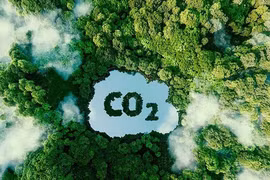 Vietnam recibe 51,5 millones de dólares de BM por reducir emisiones de carbono
