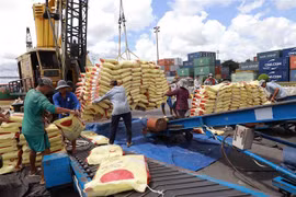 Vietnam cosecha éxitos económicos notables tras reunificación nacional