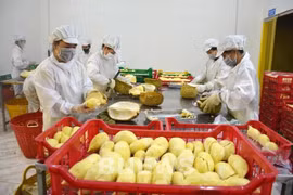 Vietnam registra alto crecimiento en exportaciones de verduras y frutas