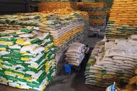 Vietnam exporta 8,3 millones de toneladas de arroz en 2023