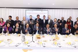 Vietnam por convertirse en destino líder de inversión sostenible