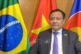 Brasil aspira a fortalecer lazos con Vietnam, afirma embajador vietnamita