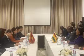 Buscan promover relaciones multifacéticas entre Vietnam y Ghana
